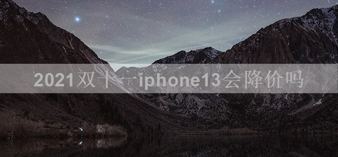 2021双十一iphone13会降价吗